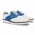 White / Blue Lizard